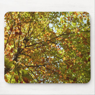 Changing Maple Tree Green and Gold Fall Colour Mouse Pad