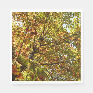 Changing Maple Tree Green and Gold Fall Colour Napkin
