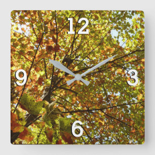 Changing Maple Tree Green and Gold Fall Colour Square Wall Clock