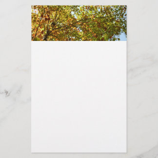 Changing Maple Tree Green and Gold Fall Colour Stationery