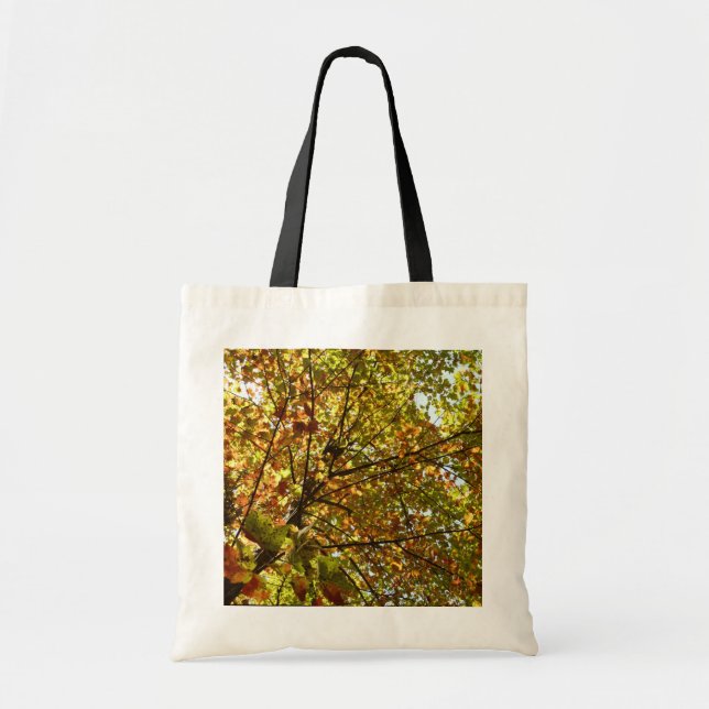 Changing Maple Tree Green and Gold Fall Colour Tote Bag (Front)