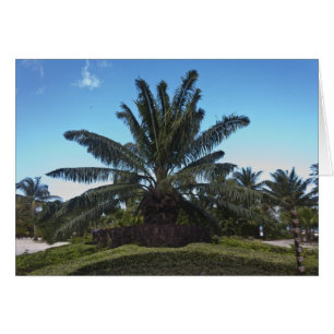 Chankanaab, Cozumel, Mexico