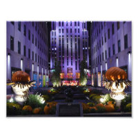 Channel Gardens Fifth Avenue New York City NYC