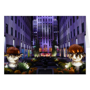Channel Gardens Rockefeller Centre New York City