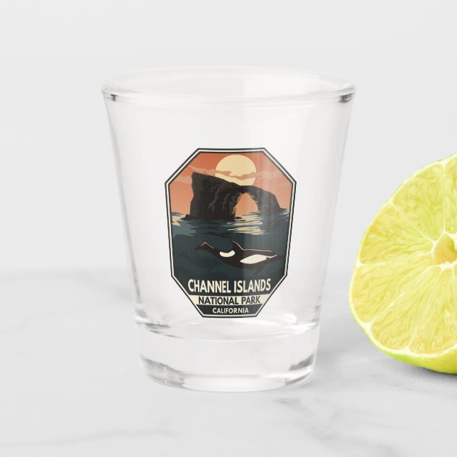 Channel Islands National Park Dolphin Retro Emblem Shot Glass (Front)