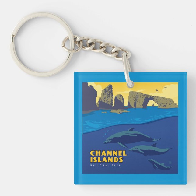Channel Islands National Park Dolphins Key Ring (Front)