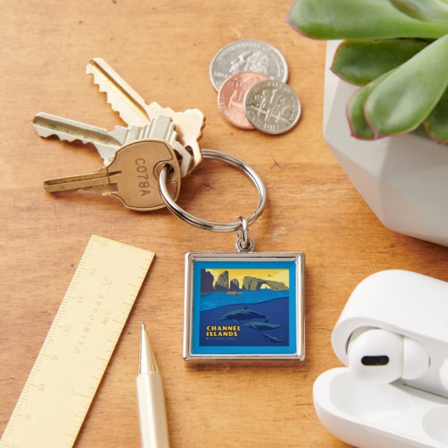 Channel Islands National Park Dolphins Key Ring (Desk)