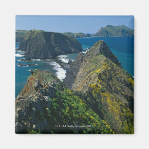 Channel Islands National Park, Southern Magnet