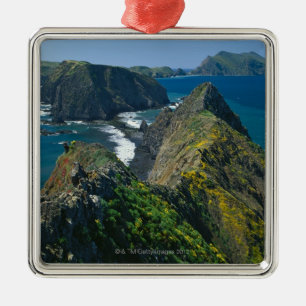 Channel Islands National Park, Southern Metal Tree Decoration