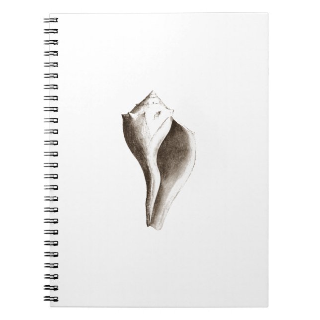 Channeled Whelk (line art) Spiral Notebook (Front)