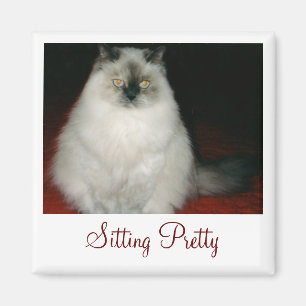 Chantal the Cat Sitting Pretty Magnet