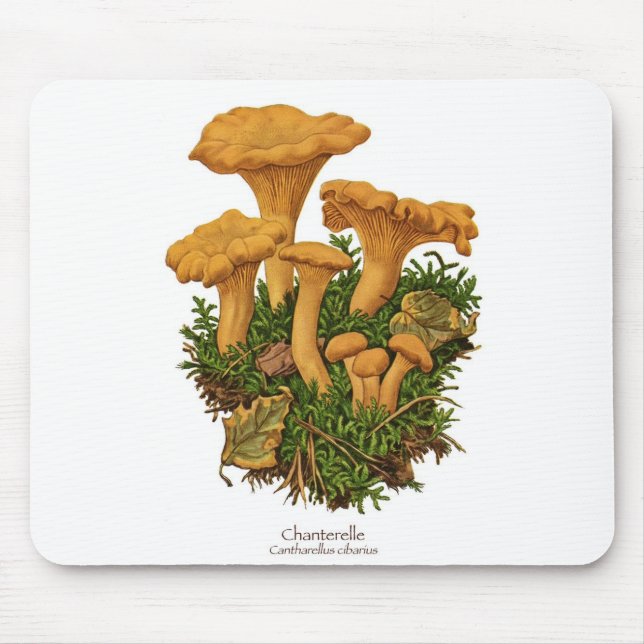 Chanterelle Mushroom Mousepad (Front)