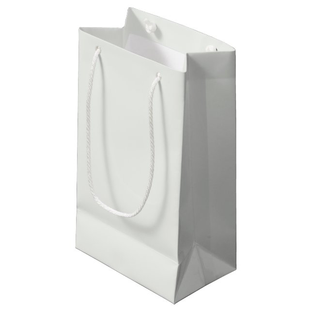 Chantilly Lace Solid Colour Small Gift Bag (Front Angled)