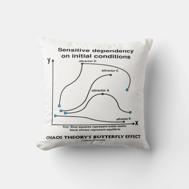Chaos Theory's Butterfly Effect Sensitive Cushion (Front)