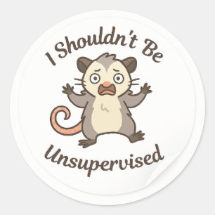 Chaotic Possum “Unsupervised” Sticker