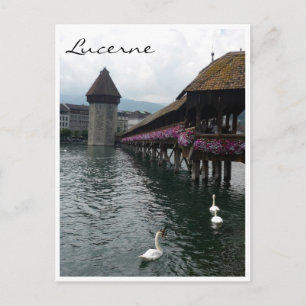chapel bridge swans postcard