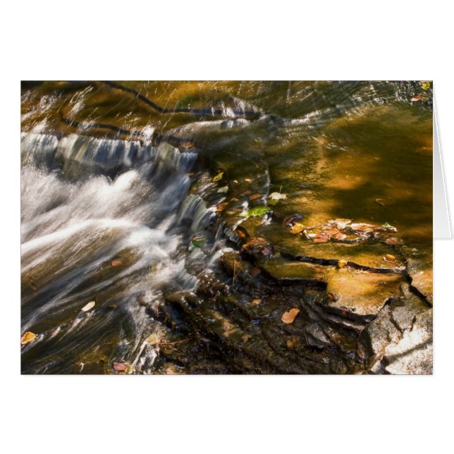 Chapel River Detail (Front Horizontal)