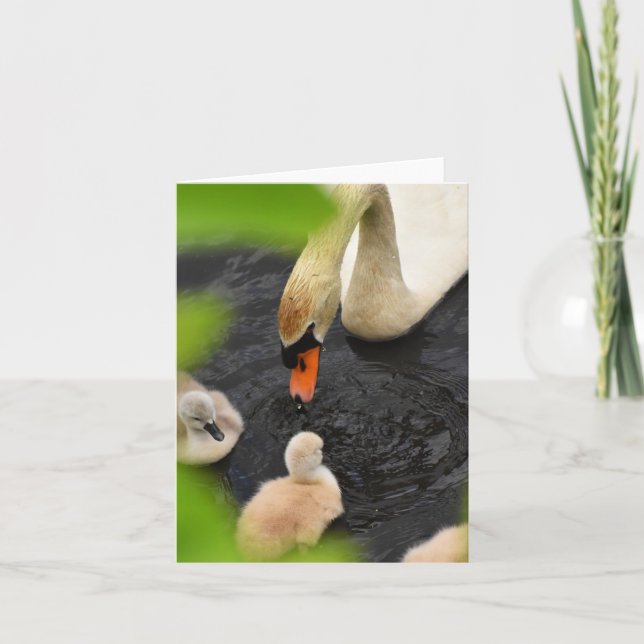 Chaperone (Mute swan cygnets #5) - Blank Note Card (Front)