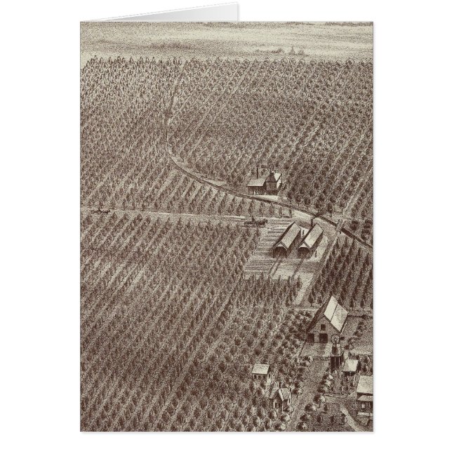 Chapin Fruit Ranch (Front)