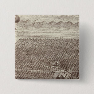 Chapin Fruit Ranch 15 Cm Square Badge