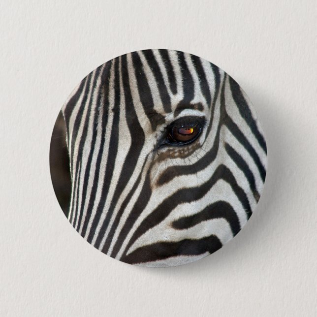 Chapman's Zebra 6 Cm Round Badge (Front)