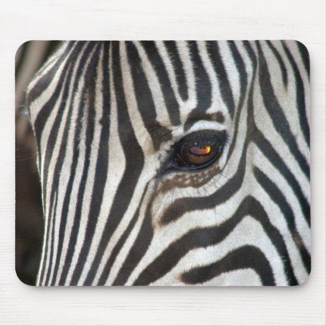 Chapman's Zebra Mouse Pad (Front)