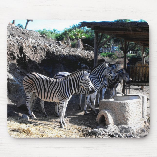 Chapman's Zebras Mouse Pad (Front)