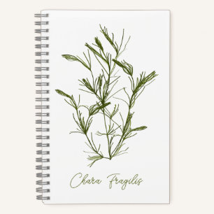 Chara Fragilis Sea-Inspired  Notebook