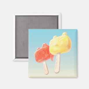 Character Popsicles Magnet