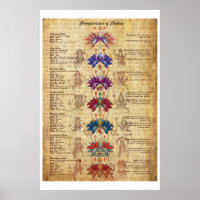 Characterstics of Chakras Yoga Art Print