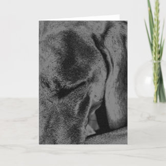 Charcoal Ruka Card