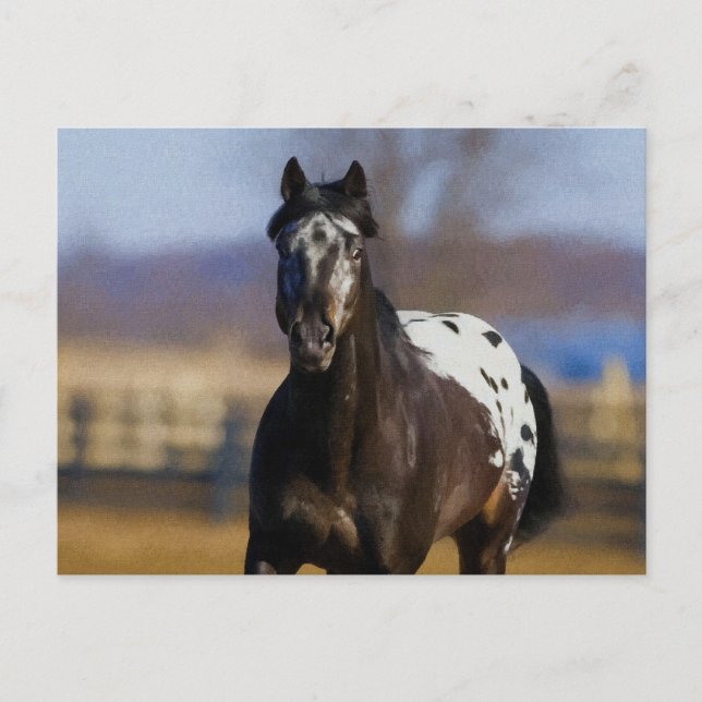 Charger Postcard (Front)