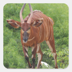 Chargin' Square Sticker