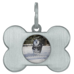 Charging Through Pet Tag