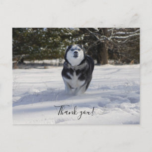 Charging Through Thank You Postcard