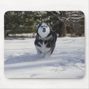 Charging Throught Mouse Pad