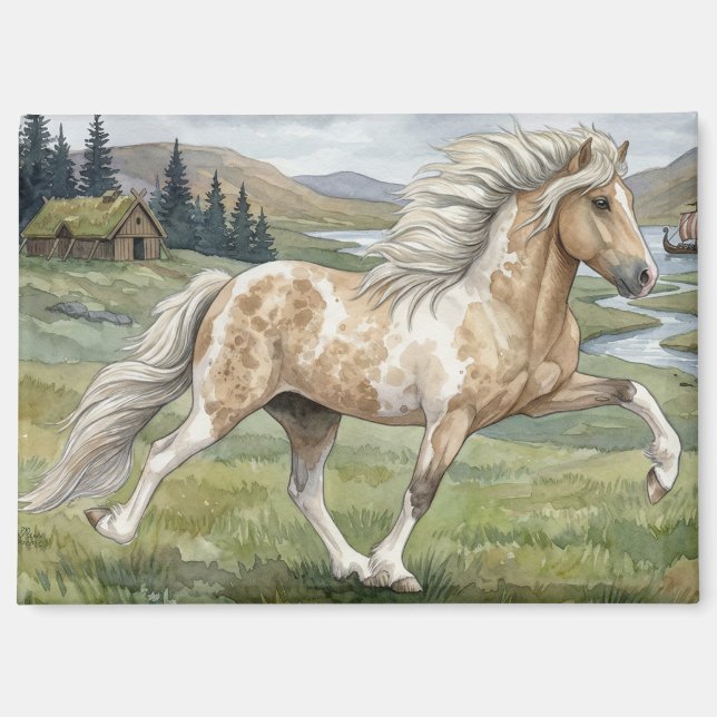 Charismatic Pinto Icelandic Mare watercolor Magnet (Front)