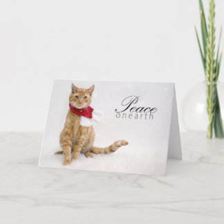 Charity Holiday Cards