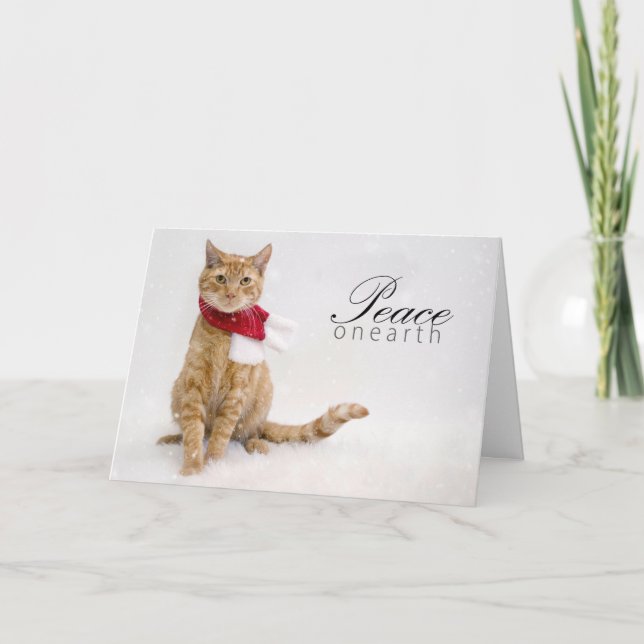 Charity Holiday Cards (Front)