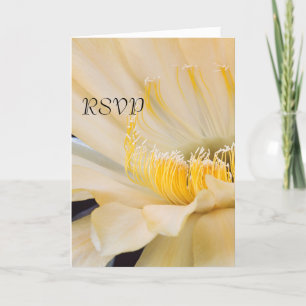 Charlemagne Echinopsis in bloom RSVP Invitation