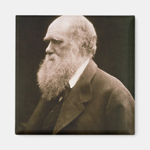 Charles Darwin (1809-82) (photo) Magnet