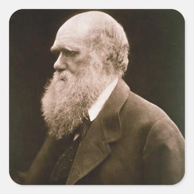 Charles Darwin (1809-82) (photo) Square Sticker (Front)