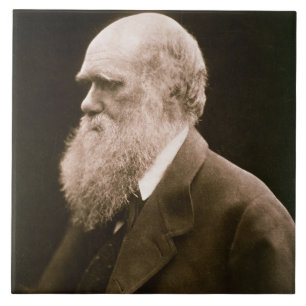 Charles Darwin (1809-82) (photo) Tile