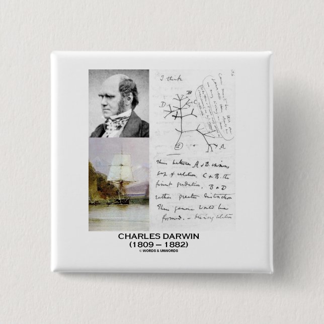 Charles Darwin (Darwin HMS Beagle Phylogenetics) 15 Cm Square Badge (Front)