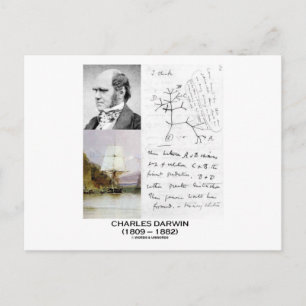 Charles Darwin (Darwin HMS Beagle Phylogenetics) Postcard