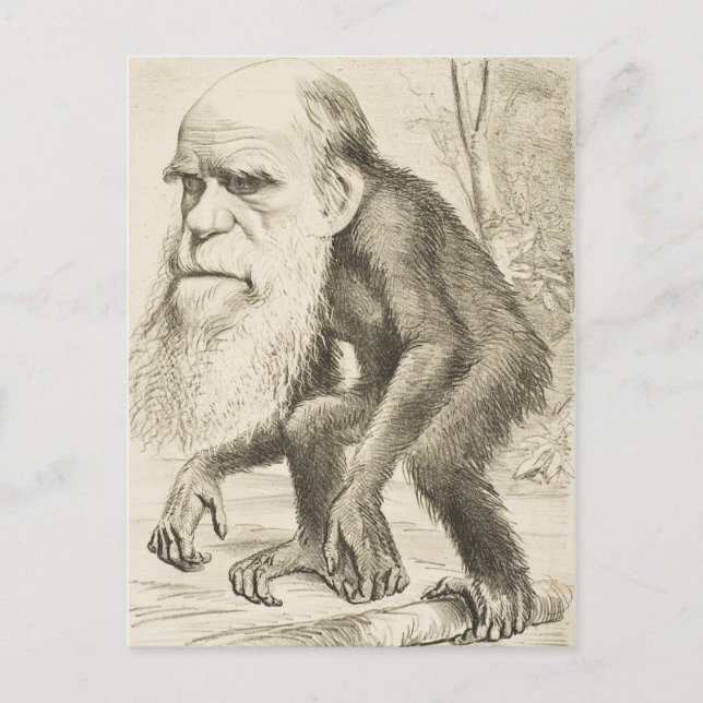 Charles Darwin Original Illustration Postcard (Front)