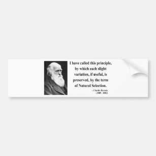 Charles Darwin Quote 6b Bumper Sticker