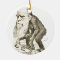 Charles Darwin the Monkey Man
