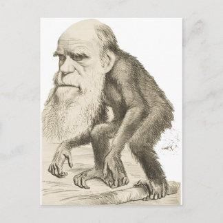 Charles Darwin the Monkey Man Postcard