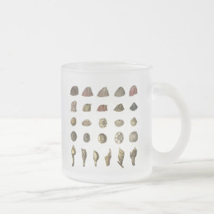 Charles Darwin's Barnacle Mug
